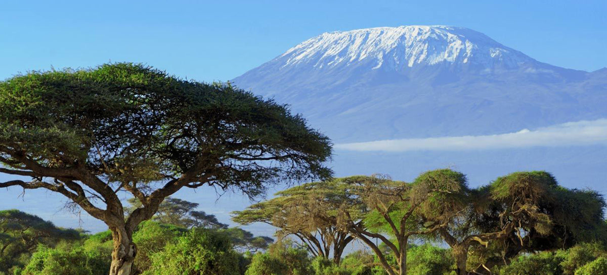 Zapatilla Trekking Adventure Mid Azul – Kilimanjaro