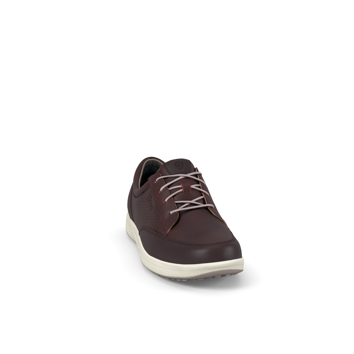 Boston Dark Brown