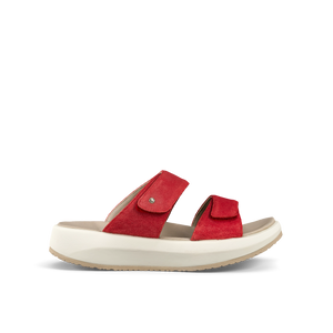 Vienna II Red II