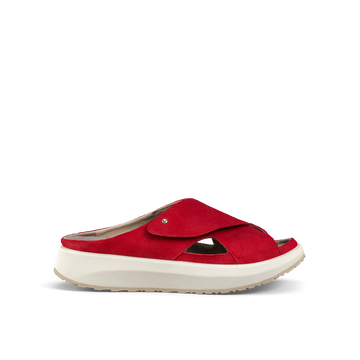 Alicante Red