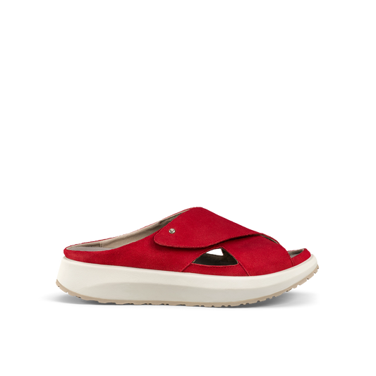 Alicante Red