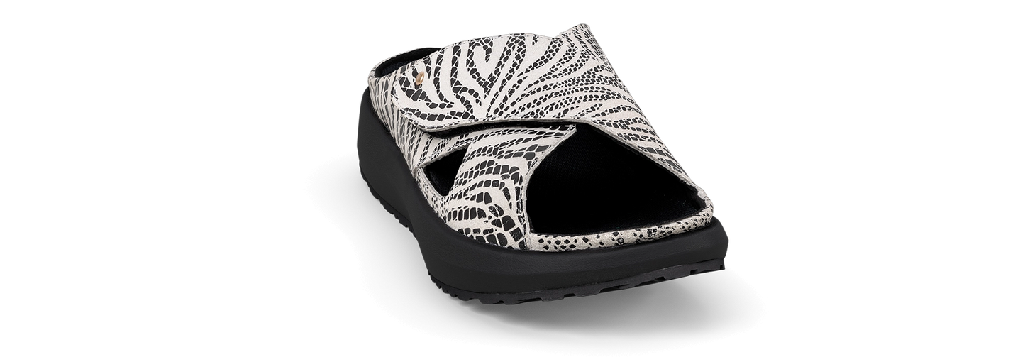 Alicante black-white