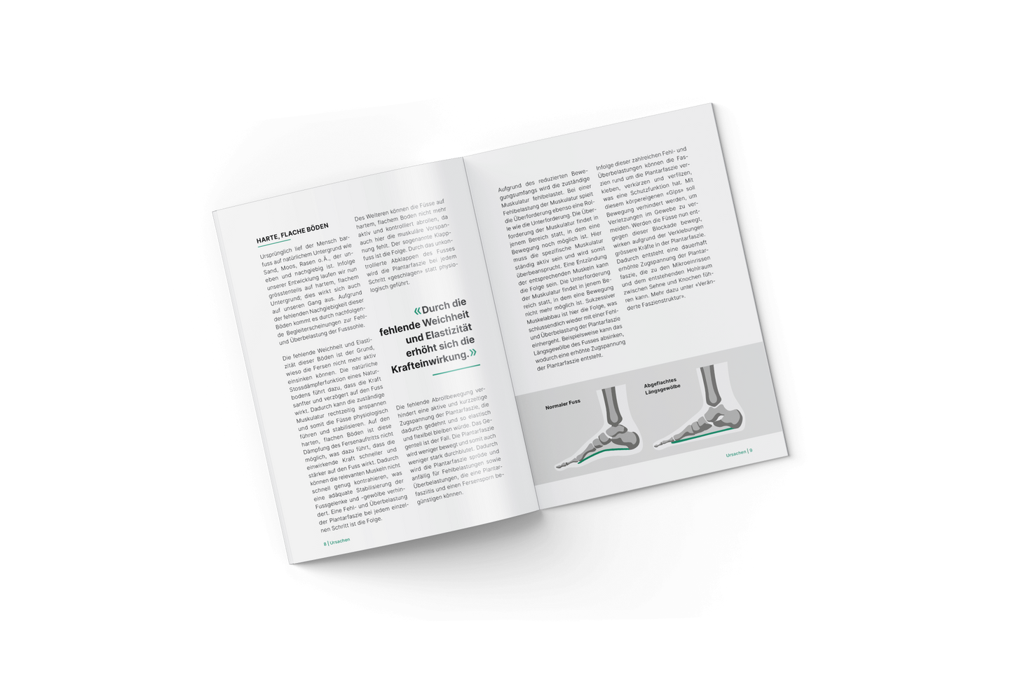 Fersensporn und Plantarfasziitis